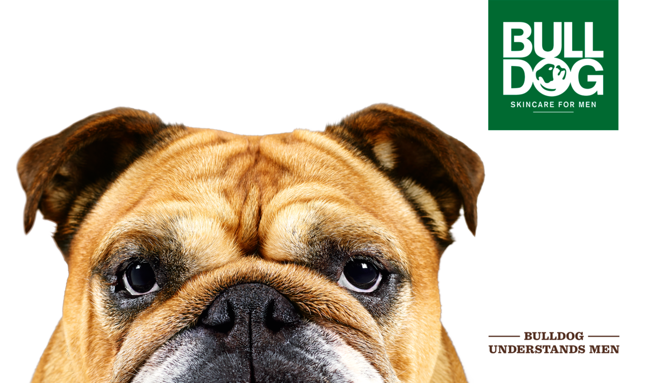 Bulldog Bulldog