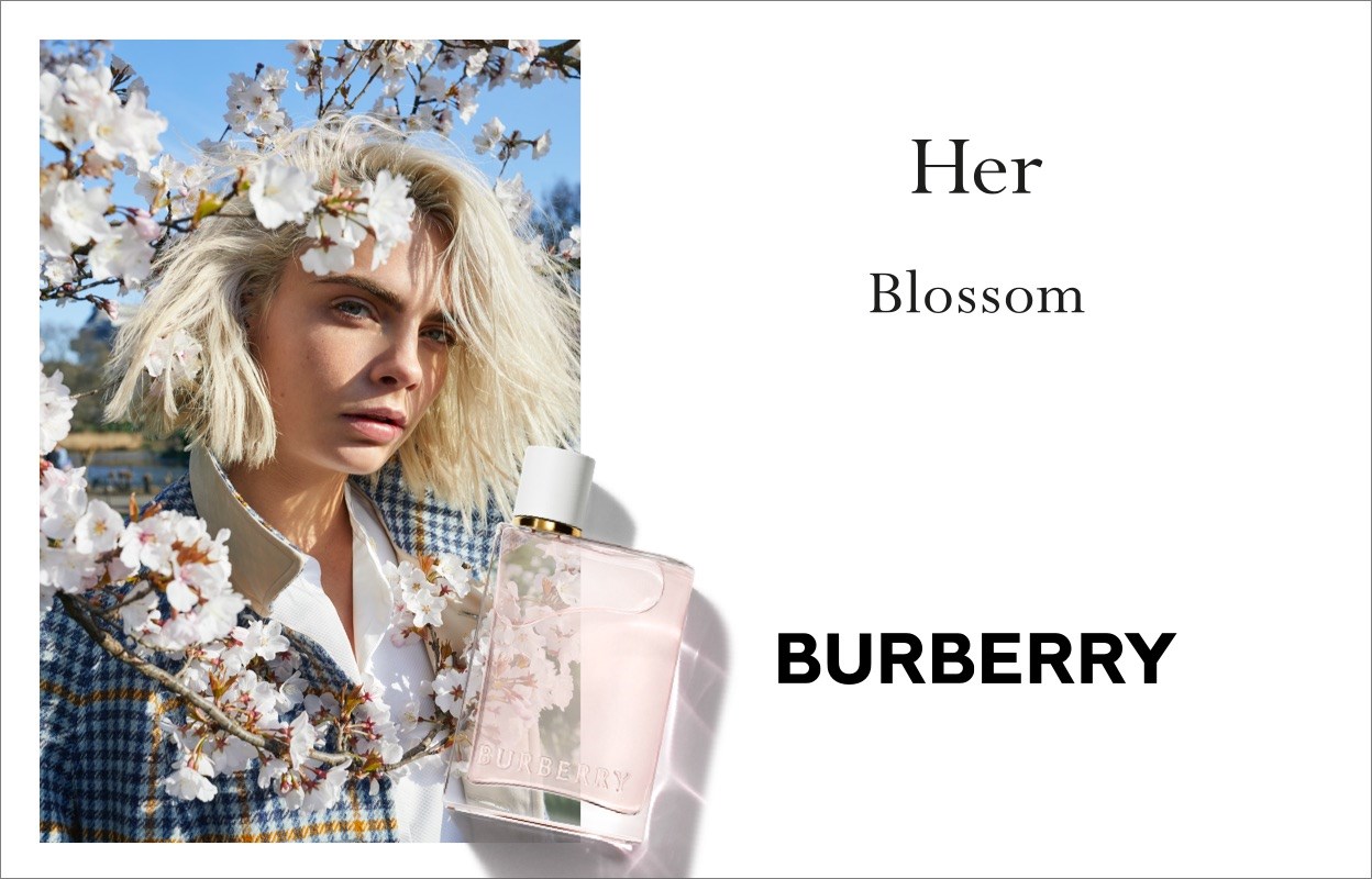 Burberry Burberry