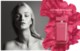 Narciso Rodriguez Narciso Rodriguez
