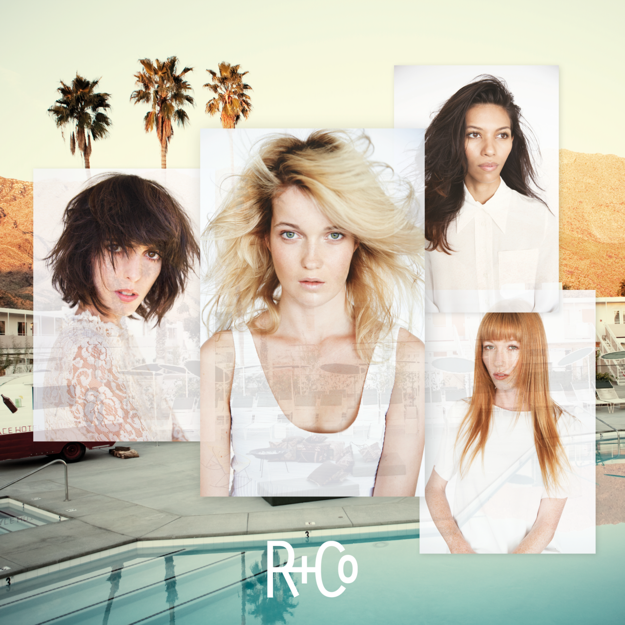 R+Co R+Co