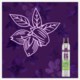 Wash + Blow Boost Me Up Torrschampo 180 ml Wash + Blow Boost Me Up Torrschampo 180 ml