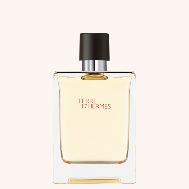 Terre D'Hermès Eau De Toilette 100 ml Terre D'Hermès Eau De Toilette 100 ml