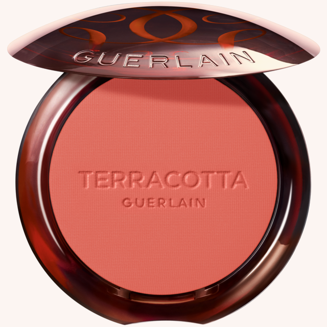 Terracotta Blush 5 Terracotta Blush 5