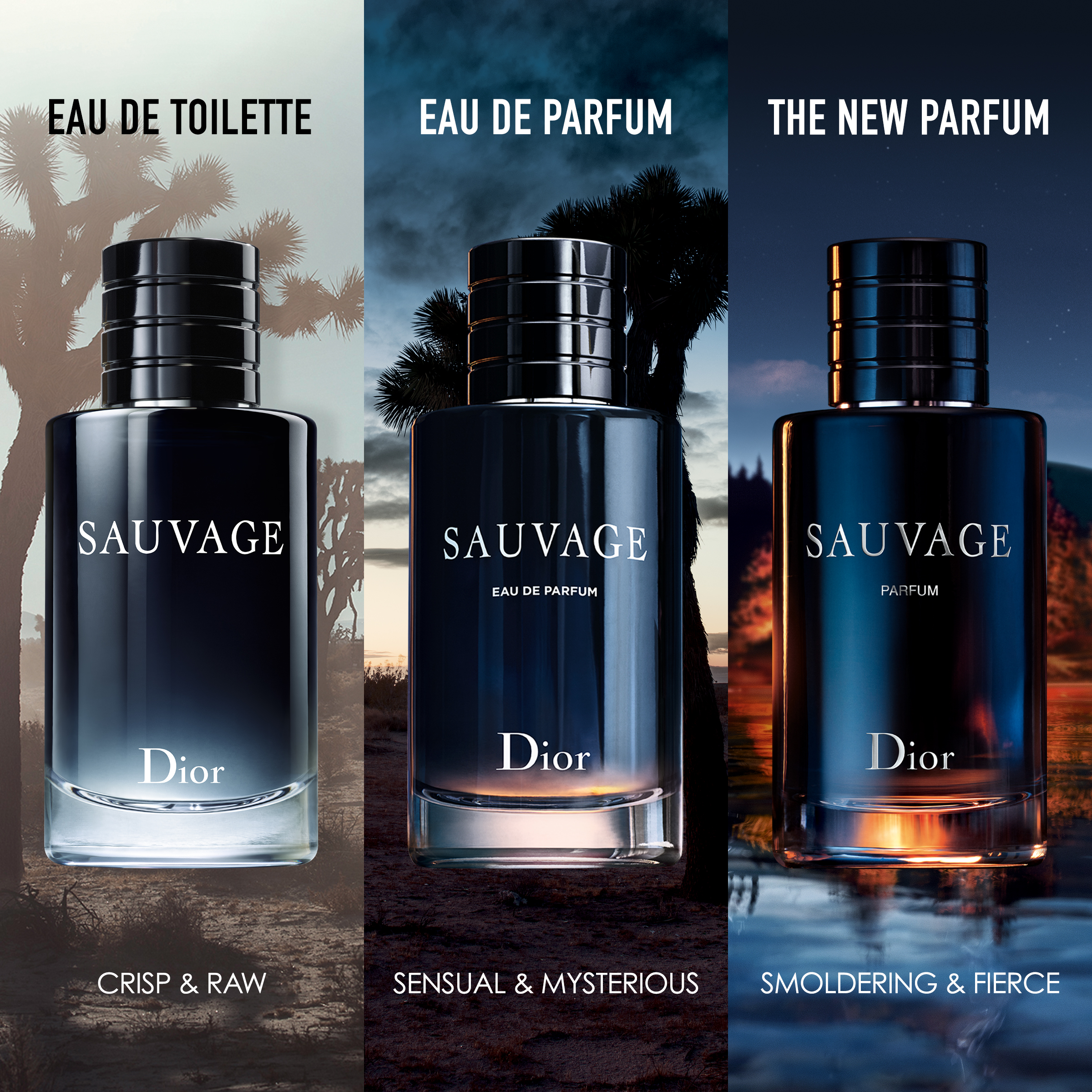 Sauvage EdT 100 ml DIOR KICKS