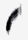 Wonder Perfect Mascara 01 Black Wonder Perfect Mascara 01 Black