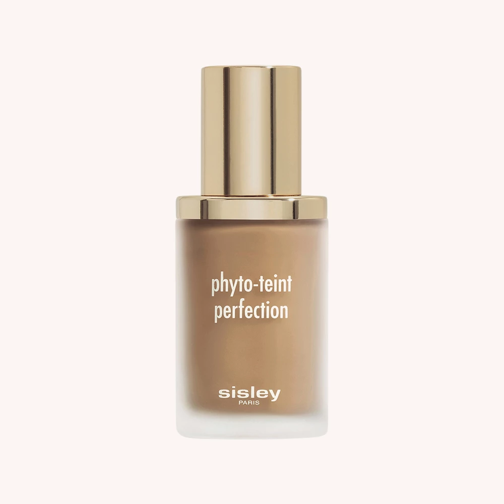 Phyto-Teint Perfection 6W Chestnut