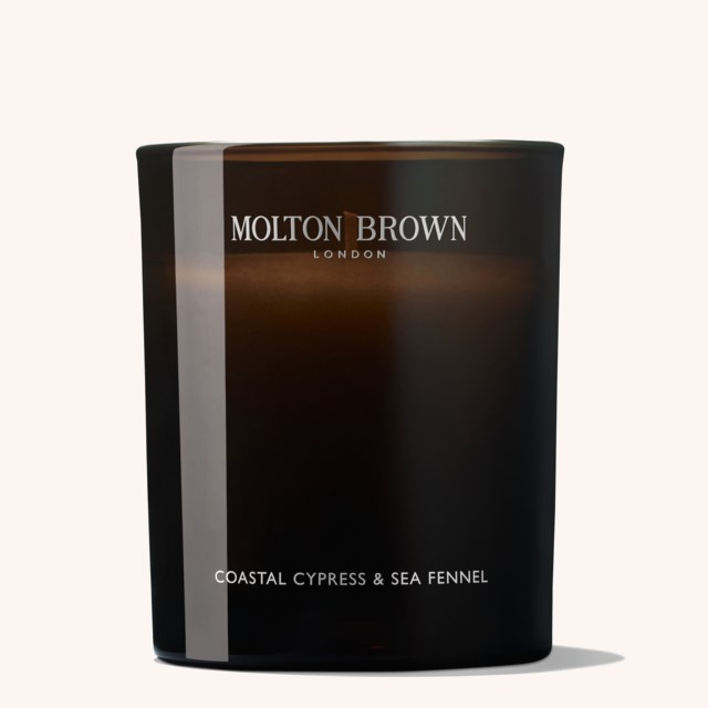 Coastal Cypress & Sea Fennel Signature Candle Coastal Cypress & Sea Fennel Signature Candle