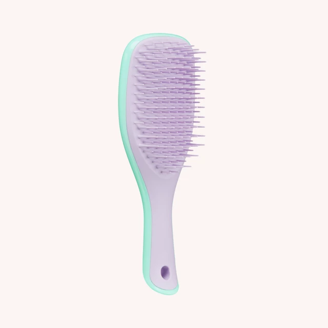 Wet Detangler Mini Hair Brush Wisteria Leaf Wet Detangler Mini Hair Brush Wisteria Leaf