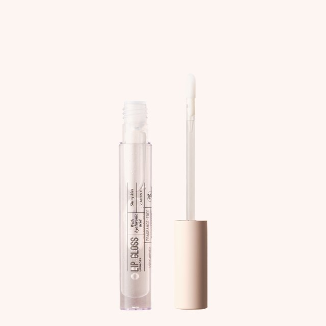 Lip Gloss 00