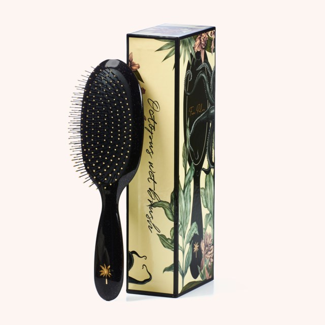 Wet Brush Medium Octopus Wet Brush Medium Octopus