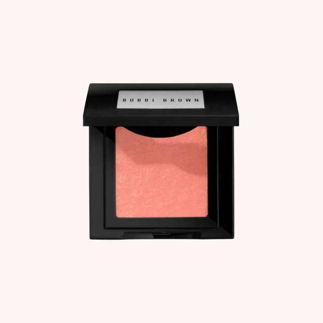 Blush Rooftop Rose
