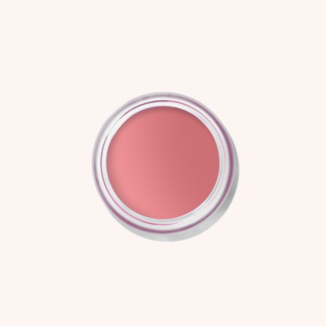 Pot Rouge Velvet Matte 1 Tea Rose