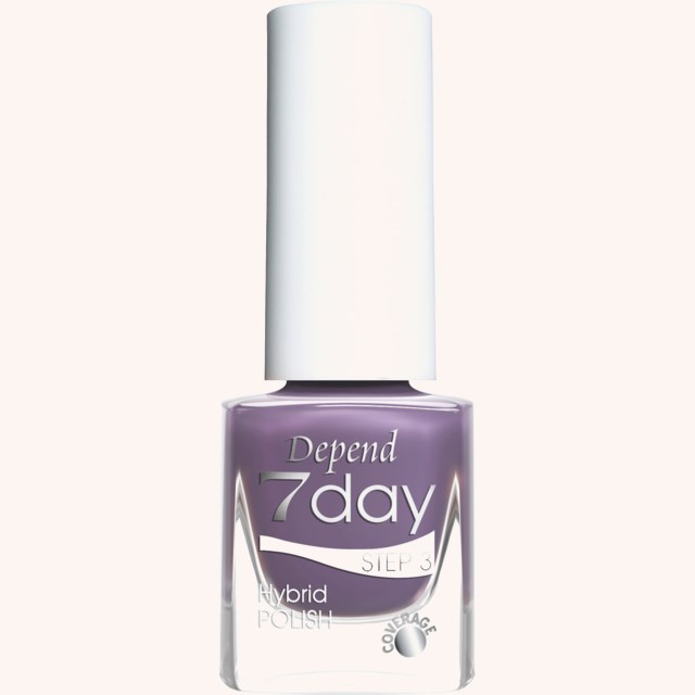 7 Day Hybrid Nail Polish 7343 Premium Plum 7 Day Hybrid Nail Polish 7343 Premium Plum