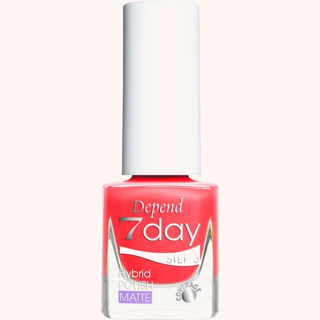 7day - WOW! Collection 70136 Pow!