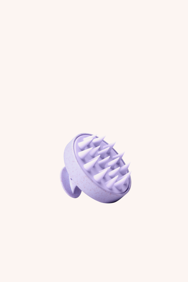 Scalp Brush Scalp Brush