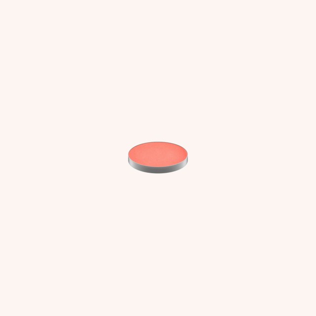 Eye Shadow Pro Palette Refill Coral Eye Shadow Pro Palette Refill Coral